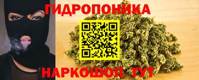 тгк Заводоуковск