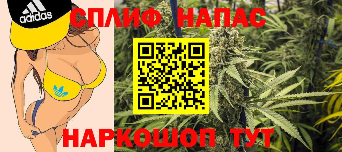 Каннабис план  Конопля конопля  Вход с VPN  Курчалой  Канабис индика 